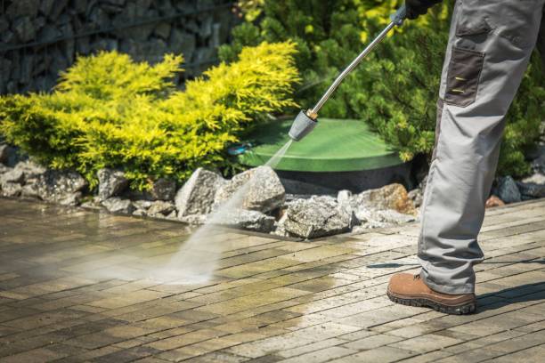 Best Roof Cleaning and Mildew Removal in Ellicott City, MD